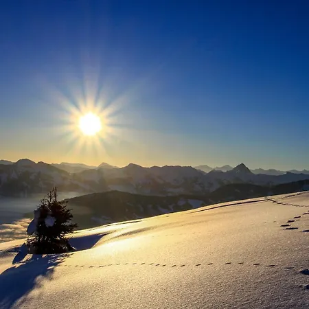 Alpine Qualitytime By Interhome Апартаменты