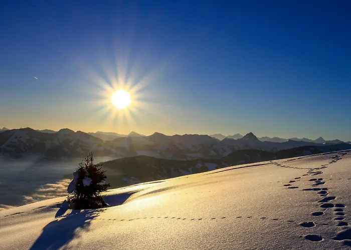 Alpine Qualitytime By Interhome Daire